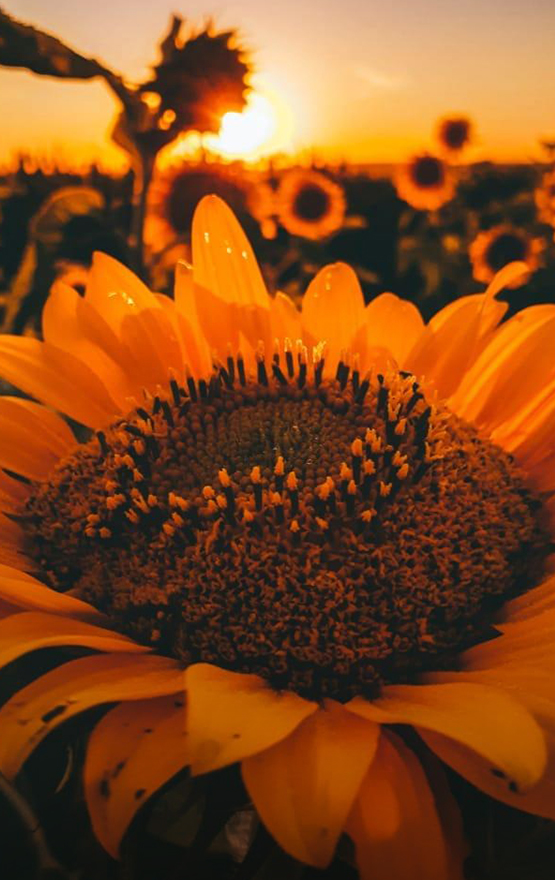 Выбраны победители фотоконкурса "На Пасху"