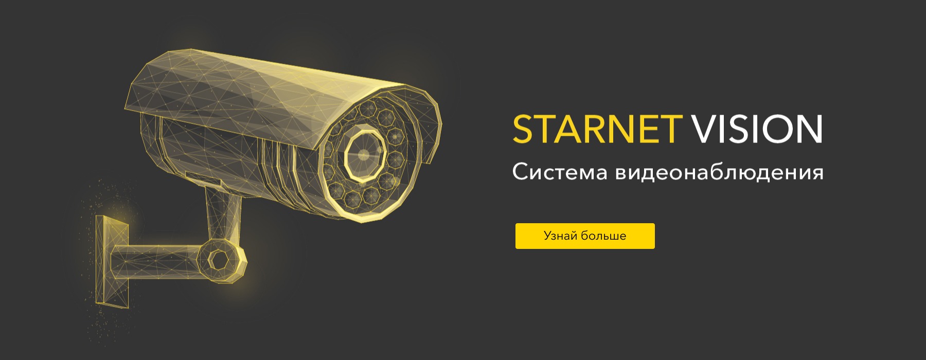 StarNet Vision. Система видеонаблюдения
