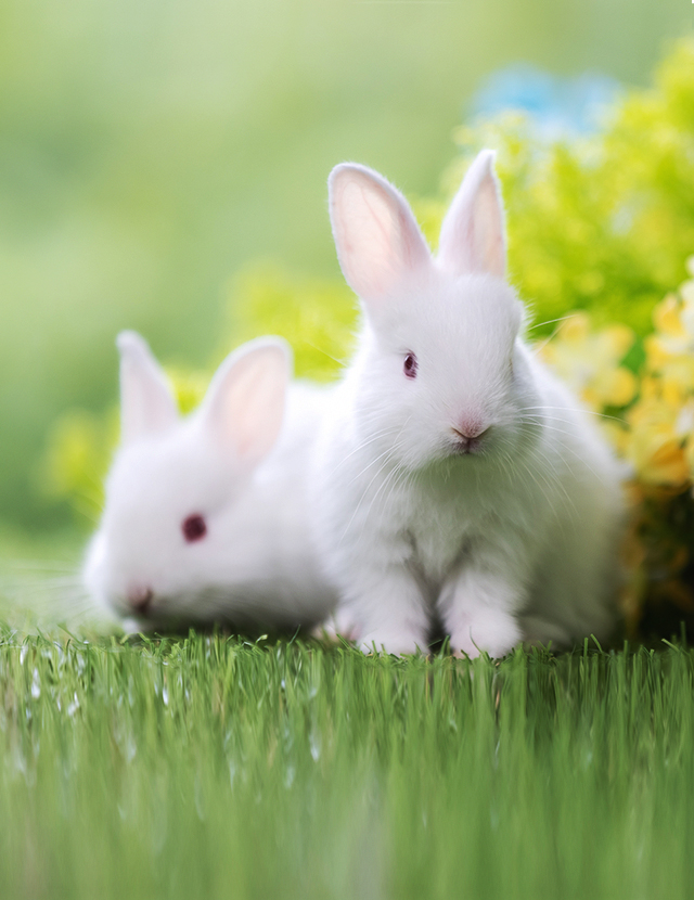 Concursul de fotografii continuă