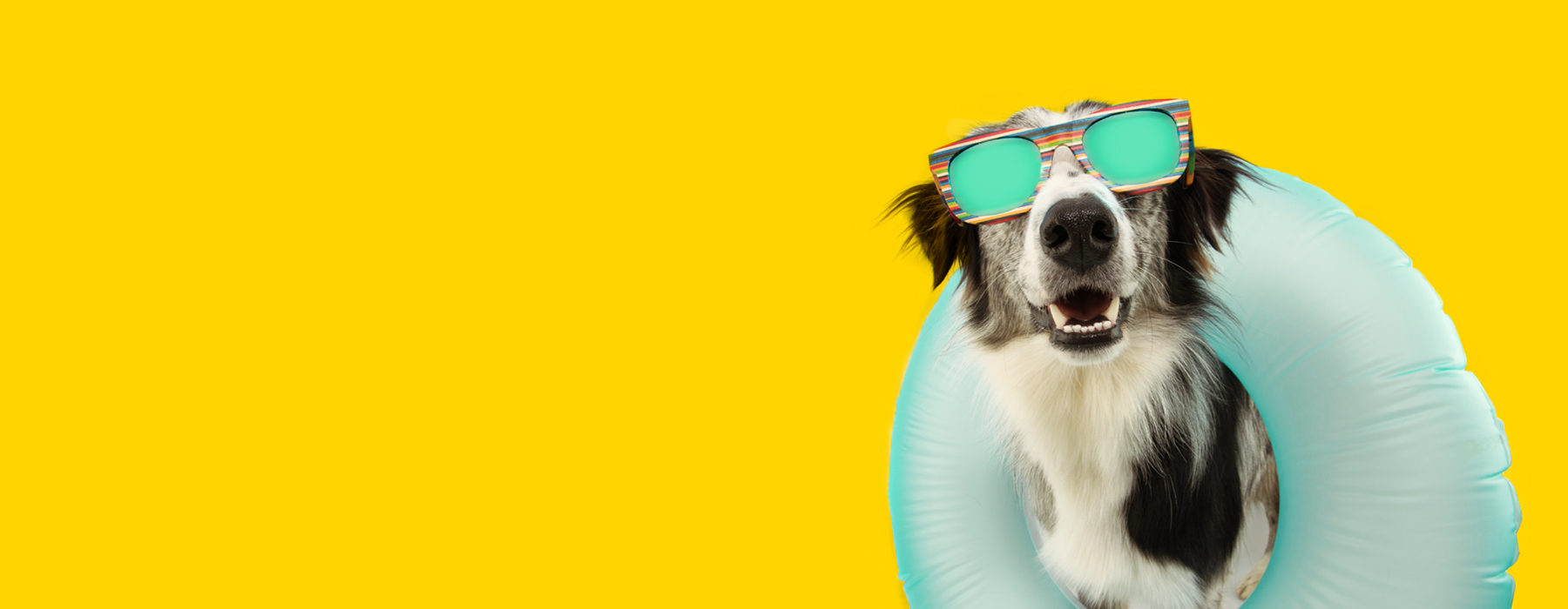 Почувствуйте разницу в HD формате!