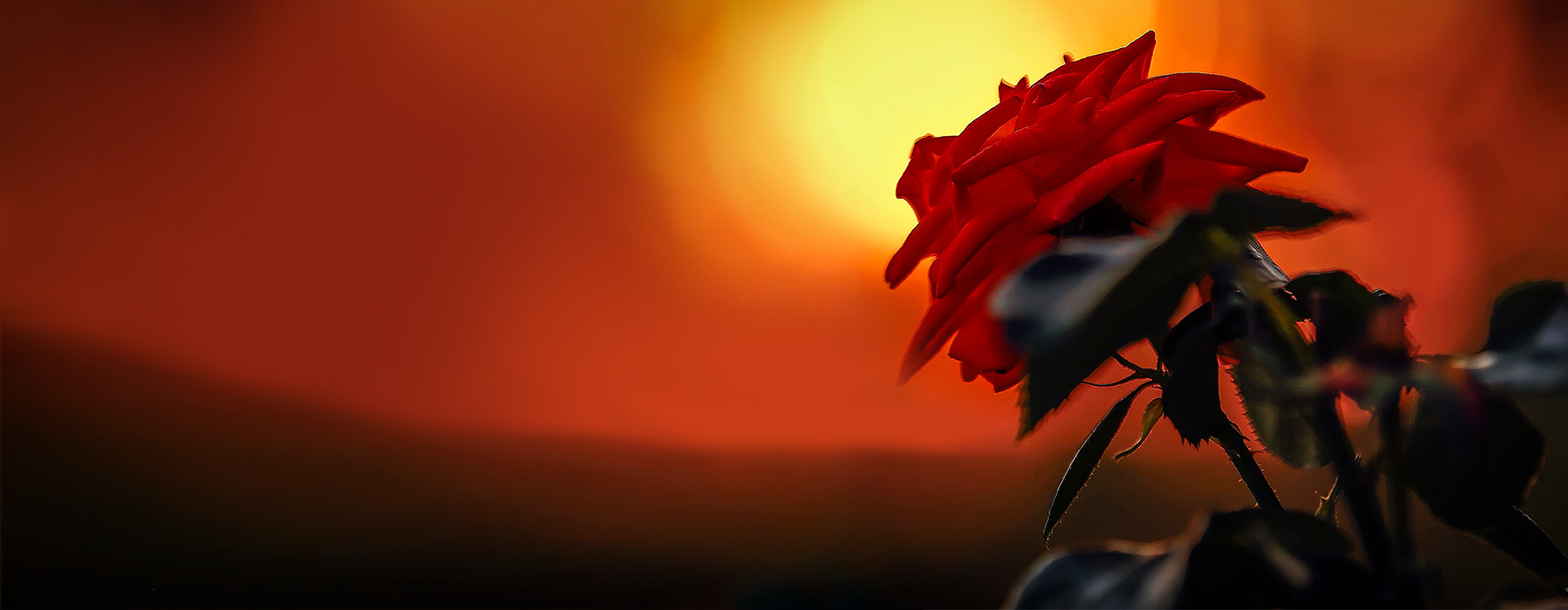 Felicităm câștigătorii celei de-a 3-a extrageri