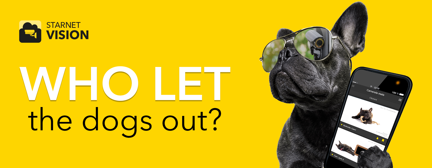 Who let the dogs out?