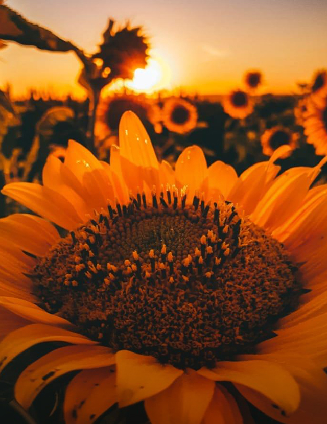 Au fost desemnați câștigătorii concursului „De Paști”