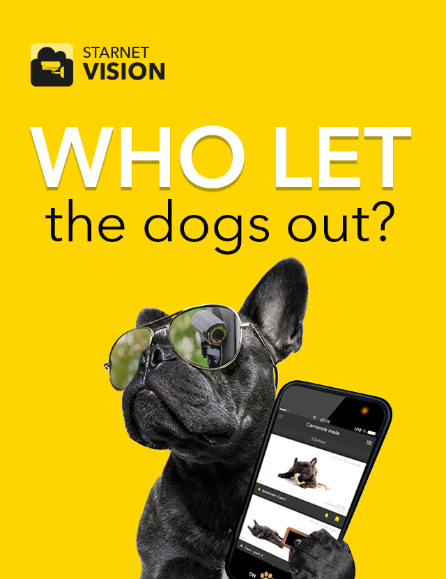 Who let the dogs out?